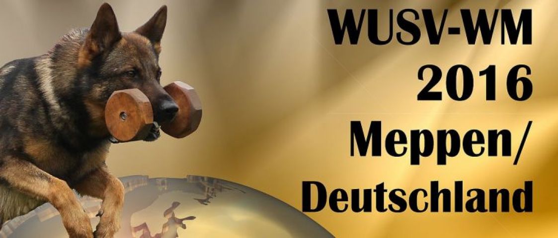 MS WUSV 2016